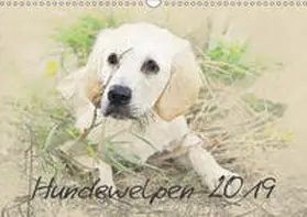 Redecker |  Hundewelpen 2019 (Wandkalender 2019 DIN A3 quer) | Sonstiges |  Sack Fachmedien