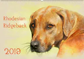 Redecker |  Rhodesian Ridgeback 2019 (Wandkalender 2019 DIN A2 quer) | Sonstiges |  Sack Fachmedien