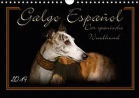 Redecker |  Galgo Español 2019- Der spanische Windhund (Wandkalender 2019 DIN A4 quer) | Sonstiges |  Sack Fachmedien