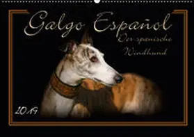 Redecker | Galgo Español 2019- Der spanische Windhund (Wandkalender 2019 DIN A2 quer) | Sonstiges | 978-3-669-66456-1 | www.sack.de