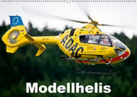 Selig |  Modellhelis (Wandkalender 2019 DIN A2 quer) | Sonstiges |  Sack Fachmedien