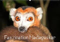 Raab |  Faszination Madagaskar (Wandkalender 2019 DIN A2 quer) | Sonstiges |  Sack Fachmedien