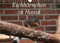 Peitz |  Eichhörnchen zu Hause (Wandkalender 2019 DIN A4 quer) | Sonstiges |  Sack Fachmedien