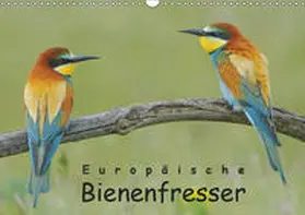 Wolf |  Europäische Bienenfresser (Wandkalender 2019 DIN A3 quer) | Sonstiges |  Sack Fachmedien