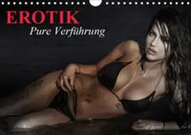 Stanzer | Erotik - Pure Verführung (Wandkalender 2019 DIN A4 quer) | Sonstiges | 978-3-669-66831-6 | www.sack.de