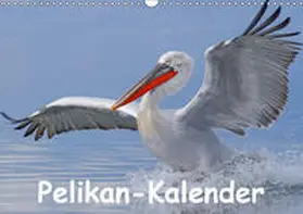 Wolf |  Pelikan-Kalender (Wandkalender 2019 DIN A3 quer) | Sonstiges |  Sack Fachmedien