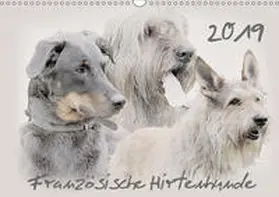 Redecker |  Französische Hirtenhunde 2019 (Wandkalender 2019 DIN A3 quer) | Sonstiges |  Sack Fachmedien