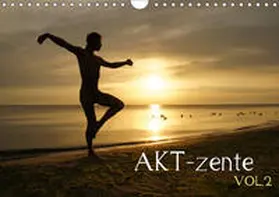 Weber |  AKT-zente Vol.2 (Wandkalender 2019 DIN A4 quer) | Sonstiges |  Sack Fachmedien