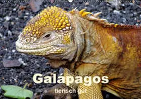 Rudolf Blank | Galápagos - tierisch gut (Wandkalender 2019 DIN A2 quer) | Sonstiges | 978-3-669-67012-8 | www.sack.de