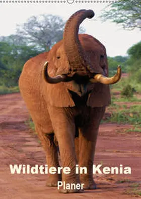 Rudolf Blank |  Wildtiere in Kenia / Planer (Wandkalender 2019 DIN A2 hoch) | Sonstiges |  Sack Fachmedien