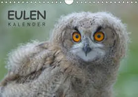Wolf |  Eulen-Kalender (Wandkalender 2019 DIN A4 quer) | Sonstiges |  Sack Fachmedien