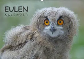 Wolf |  Eulen-Kalender (Wandkalender 2019 DIN A2 quer) | Sonstiges |  Sack Fachmedien
