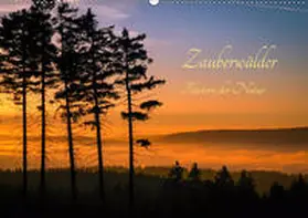 Pi |  Zauberwälder - Flüstern der Natur (Wandkalender 2019 DIN A2 quer) | Sonstiges |  Sack Fachmedien