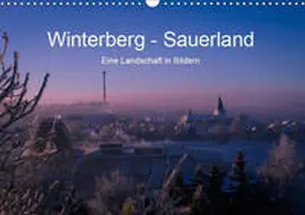 Pi |  Winterberg - Sauerland - Eine Landschaft in Bildern (Wandkalender 2019 DIN A3 quer) | Sonstiges |  Sack Fachmedien