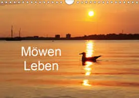 Riedel |  Möwen Leben (Wandkalender 2019 DIN A4 quer) | Sonstiges |  Sack Fachmedien