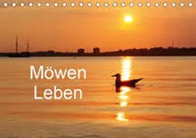 Riedel |  Möwen Leben (Tischkalender 2019 DIN A5 quer) | Sonstiges |  Sack Fachmedien
