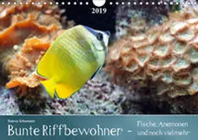 Schumann |  Bunte Riffbewohner - Fische, Anemonen und noch viel mehrCH-Version  (Wandkalender 2019 DIN A4 quer) | Sonstiges |  Sack Fachmedien