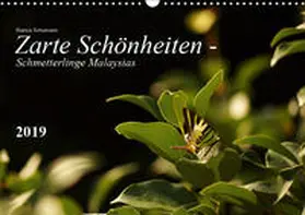 Schumann |  Zarte Schönheiten - Schmetterlinge MalaysiasCH-Version  (Wandkalender 2019 DIN A3 quer) | Sonstiges |  Sack Fachmedien