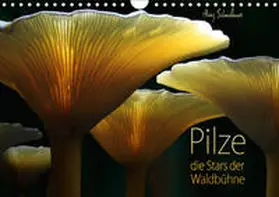 Schmidbauer |  Pilze - die Stars der Waldbühne (Wandkalender 2019 DIN A4 quer) | Sonstiges |  Sack Fachmedien