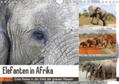 Herzog |  Elefanten in Afrika (Wandkalender 2019 DIN A4 quer) | Sonstiges |  Sack Fachmedien