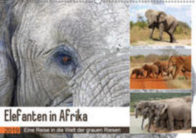 Herzog | Elefanten in Afrika (Wandkalender 2019 DIN A2 quer) | Sonstiges | 978-3-669-68223-7 | sack.de