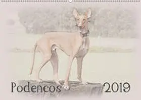 Redecker |  Podencos 2019 (Wandkalender 2019 DIN A2 quer) | Sonstiges |  Sack Fachmedien