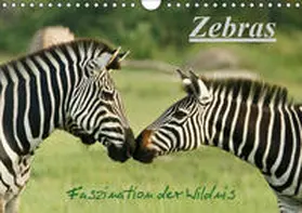 Haase |  Zebras - Faszination  der Wildnis (Wandkalender 2019 DIN A4 quer) | Sonstiges |  Sack Fachmedien