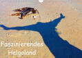 Raab |  Faszinierendes Helgoland (Wandkalender 2019 DIN A4 quer) | Sonstiges |  Sack Fachmedien