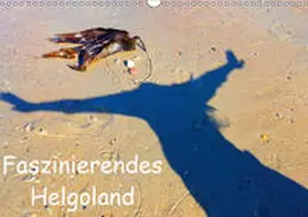 Raab | Faszinierendes Helgoland (Wandkalender 2019 DIN A3 quer) | Sonstiges | 978-3-669-68502-3 | sack.de