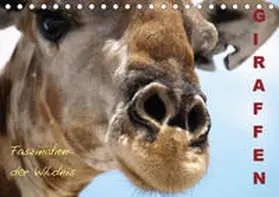 Haase |  Giraffen - Faszination der Wildnis (Tischkalender 2019 DIN A5 quer) | Sonstiges |  Sack Fachmedien