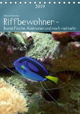 Schumann |  Riffbewohner - Bunte Fische, Anemonen und noch viel mehrAT-Version  (Tischkalender 2019 DIN A5 hoch) | Sonstiges |  Sack Fachmedien