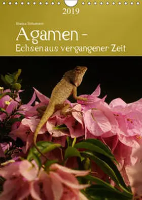 Schumann |  Agamen - Echsen aus vergangener ZeitAT-Version  (Wandkalender 2019 DIN A4 hoch) | Sonstiges |  Sack Fachmedien