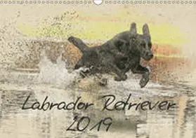 Redecker |  Labrador Retriever 2019 (Wandkalender 2019 DIN A3 quer) | Sonstiges |  Sack Fachmedien