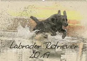 Redecker |  Labrador Retriever 2019 (Wandkalender 2019 DIN A2 quer) | Sonstiges |  Sack Fachmedien