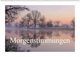 Hennig | MorgenstimmungenCH-Version  (Wandkalender 2019 DIN A2 quer) | Sonstiges | 978-3-669-69828-3 | sack.de