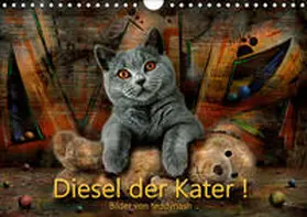 Teddynash |  Diesel der Kater (Wandkalender 2019 DIN A4 quer) | Sonstiges |  Sack Fachmedien