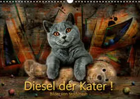 Teddynash |  Diesel der Kater (Wandkalender 2019 DIN A3 quer) | Sonstiges |  Sack Fachmedien