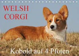 Starick |  Welsh Corgi - Kobold auf 4 Pfoten (Tischkalender 2019 DIN A5 quer) | Sonstiges |  Sack Fachmedien