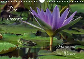 Fischer |  Die Seerose - Harmonie im Wasser (Wandkalender 2019 DIN A4 quer) | Sonstiges |  Sack Fachmedien