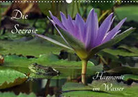 Fischer |  Die Seerose - Harmonie im Wasser (Wandkalender 2019 DIN A3 quer) | Sonstiges |  Sack Fachmedien