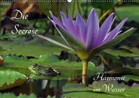 Fischer |  Die Seerose - Harmonie im Wasser (Wandkalender 2019 DIN A2 quer) | Sonstiges |  Sack Fachmedien