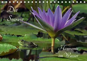 Fischer |  Die Seerose - Harmonie im Wasser (Tischkalender 2019 DIN A5 quer) | Sonstiges |  Sack Fachmedien