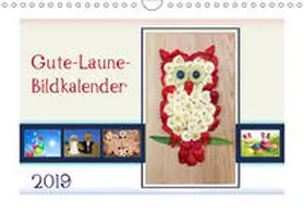 Susazoom | Gute-Laune-Bildkalender 2019 (Wandkalender 2019 DIN A4 quer) | Sonstiges | 978-3-669-71326-9 | www.sack.de