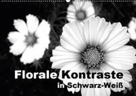 Schilling und Michael Wlotzka | Florale Kontraste in Schwarz-Weiß (Wandkalender 2019 DIN A2 quer) | Sonstiges | 978-3-669-71508-9 | www.sack.de