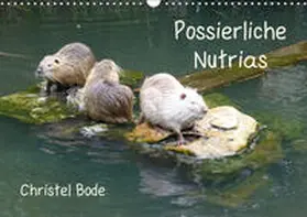 Bode |  Possierliche Nutrias (Wandkalender 2019 DIN A3 quer) | Sonstiges |  Sack Fachmedien