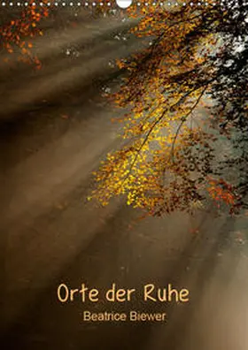 Biewer |  Orte der Ruhe (Wandkalender 2019 DIN A3 hoch) | Sonstiges |  Sack Fachmedien