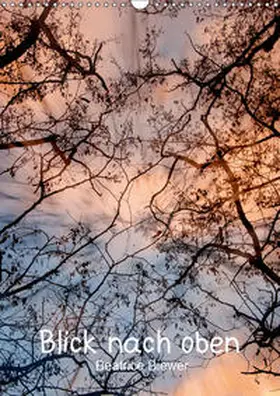 Biewer |  Blick nach oben (Wandkalender 2019 DIN A3 hoch) | Sonstiges |  Sack Fachmedien