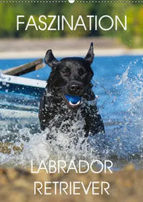 Starick | Faszination Labrador Retriever (Wandkalender 2019 DIN A2 hoch) | Sonstiges | 978-3-669-74540-6 | www.sack.de