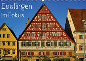 Weber |  Esslingen im Fokus (Wandkalender 2019 DIN A2 quer) | Sonstiges |  Sack Fachmedien