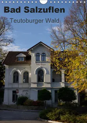 Peitz |  Bad Salzuflen - Teutoburger Wald (Wandkalender 2019 DIN A4 hoch) | Sonstiges |  Sack Fachmedien